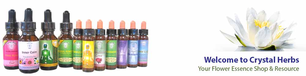 Crystal Herbs - Your Flower Essence Shop & Resource Crystal Herbs - Your Flower Essence Shop & Resource