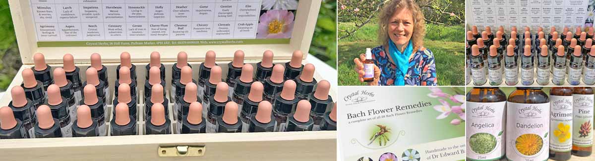 Crystal Herbs Wholesale - Flower Essences for shops and distributors MOntage image - Bach Flower Remedy set in a wden box, Catherine Keattch, a card Bach Display stand, a Bach FloweR Remedy set in a wooden box and some ingle flower essence bottles