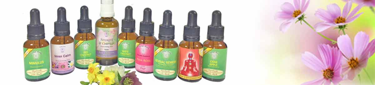 Flower Essences - An Introduction to Vibrational Essences Flower Essence Bottles with flower - a guide to flower essences