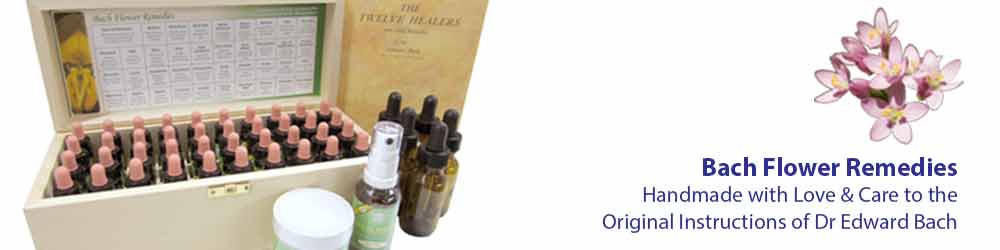 Our Bach Flower Remedies Our Bach Flower Remedies