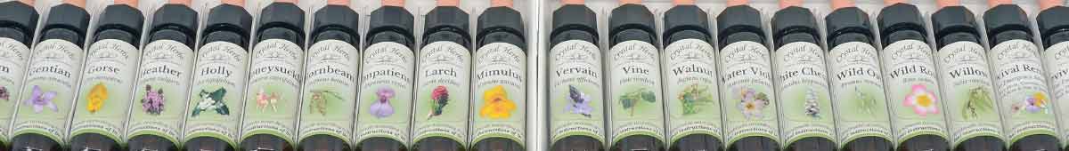 Bach Flower Remedy Sets in Apple Cider Vinegar