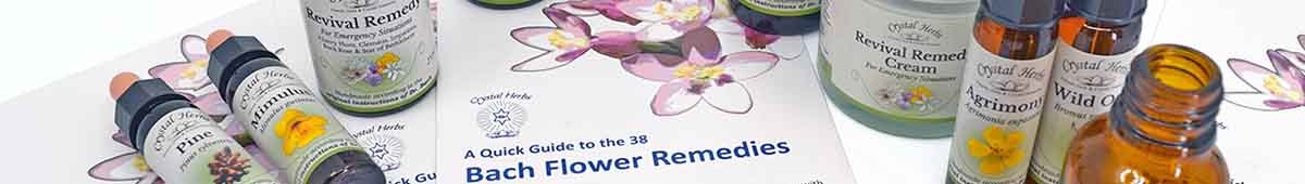 Bach Flower Remedies - How to Use & Choose