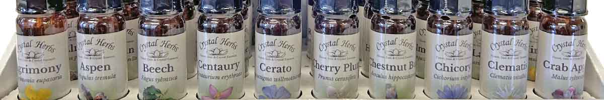Bach Flower Remedy Montage: Bach Set, Bach Remedy bottles, Bach Self Select Set, Chicory flowers in a bowl