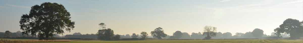 Fields at Crystal Herbs