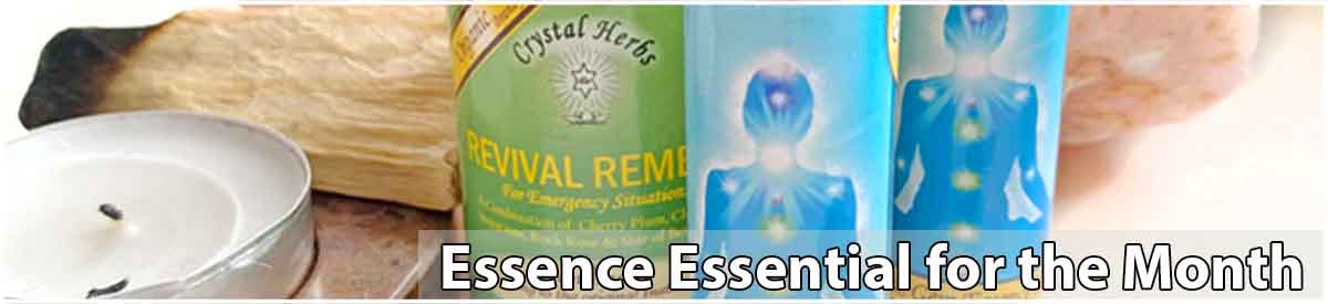 Essence Essentials for the month