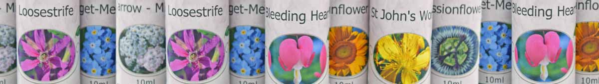 A close image of a row of Crystal Herbs flower essence bottles showing names and photos of the flowers