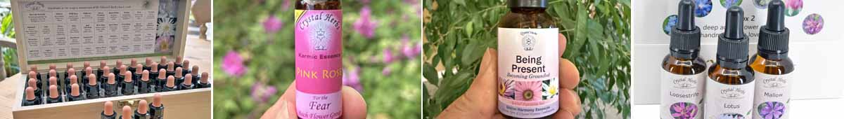 Crystal Herbs Flower Essence montage: a Bach Remedy set, a bottle of Pink Rose flower essence, a bottle of Being Present combination and three bottles of single flower essences
