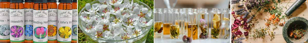 Montage image - bottles of flower essences, pear flowers potentising in a bowl, herbal remedies in bottles and a pestle and mortar with flowers 