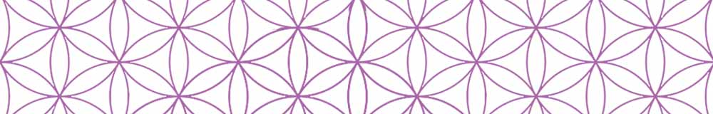 The Flower of Life The Flower of Life