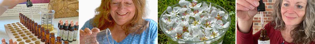 Handmade Flower Essences montage: essences being handpoured, a person pouring an essence, a bowl of flowers potentising in the sun and a person using a flower essence dropper bottle