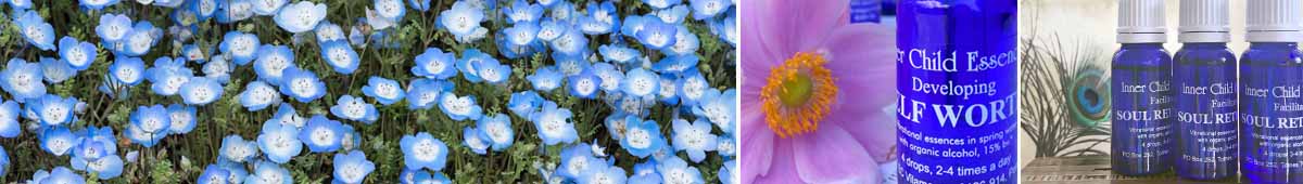 Picture of Baby Blue Eyes flowers, a bottle of Self Worth inner Child Essence and three other bottles of Inner Child Essences