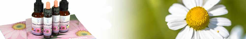 Crystal Herbs Newsletters