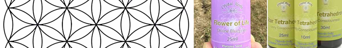 Picture of a Flowe of Life diagram, a botte of Crysa Herbs Flower of Life Essence and three bottles of S Tetrahedron Essence
