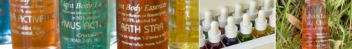 Picture of bottles of Rainbow Light Body Essences, a set of Light Body Essences and a bottle of the Hara Essence lying in grass