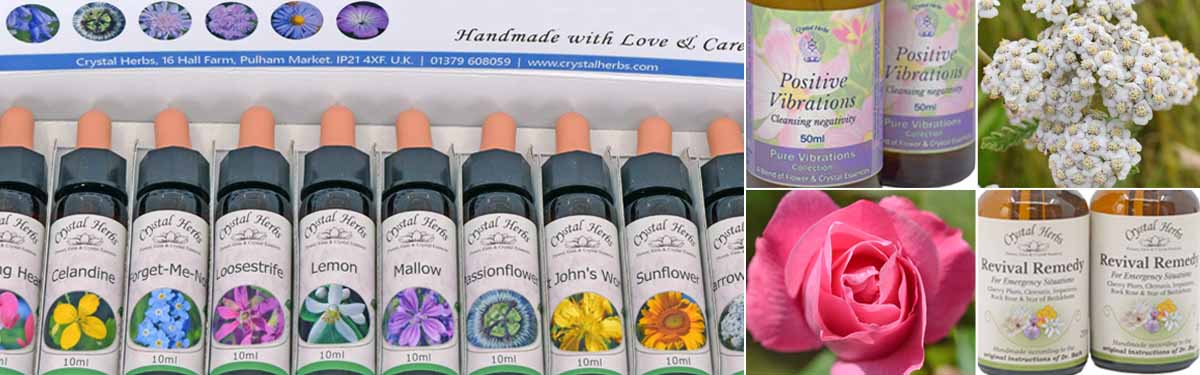 A montage image - a flower essence set, two bottles of Positive Vibrations Essence Spray, a Yarrow flower, a Pink Rose flower and two bottles of Crystal Herbs Revival Remedy bottles