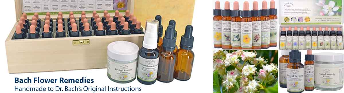Bach Flower Remedies, Sets and more.