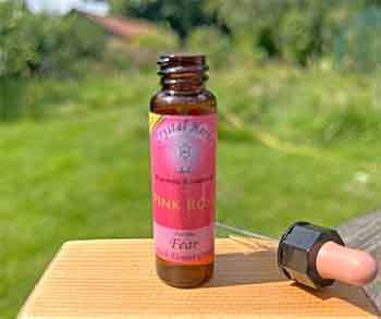 Using Pink Rose Flower Essence