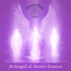 Archangels & Ascended Masters