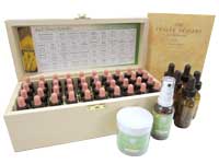 Bach Collection Set