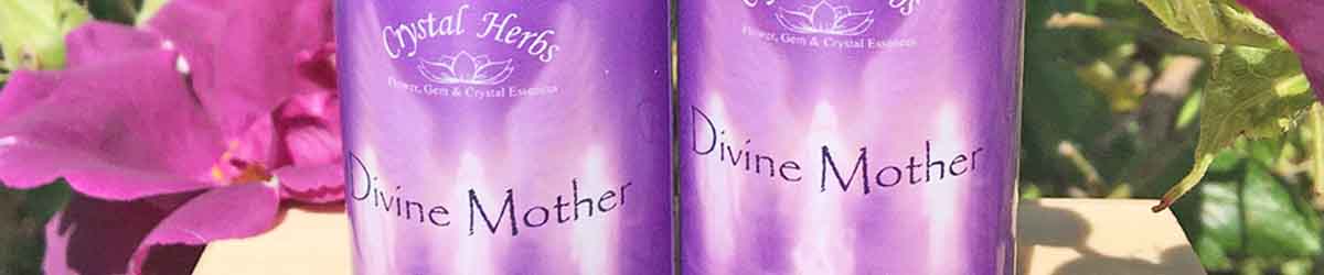 Divine Mother Essences Divine Mother Essences with roses in the background