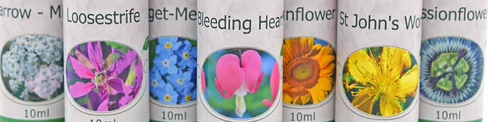 New Flower Essence Labels New Flower Essence Labels - Close up of 10ml Bottles