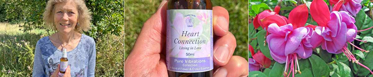 Picture of Catherine Keattch holding a Heart Connection Spray, a close up of a Heart Connection Essence Spray and picture of Fuchsia flowers