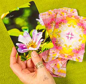 Choosing Bach Flower Remedies with the cards