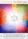 Bach Flower Remedy Poster Crystal Herbs Poster