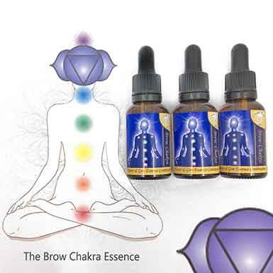Chakra Essence Montage - Essences, symbol and place on the body
