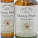 Close up of two bottles of Cherry Plum Bach Flower Remedy