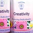 Creativity Essence Creativity Essence