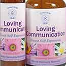 Loving Communications Essence