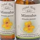Close up of two bottles of Mimulus Bach Flower Remedy