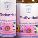 Motivation Essence