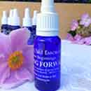 Moving Forward – New Beginnings A bottle of Moving Forward – New Beginnings Essence