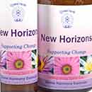 New Horizons Essence