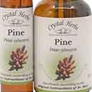 Pine - Bach Flower Remedy Pine - Bach Flower Remedy - 10ml and 25ml bottles
