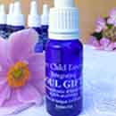 Soul Gifts Essence Soul Gifts Essence with a flower