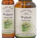 Walnut Bach Flower Remedy Walnut Bach Flower Remedies - 10ml & 25ml bottles