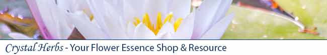 Essences for Sharing Newsletter from Crystal Herbs
