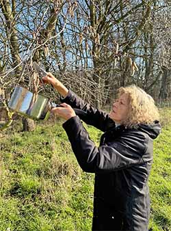 A picture of Catherine Keattch from Crystal Herbs making an Aspen mother essence