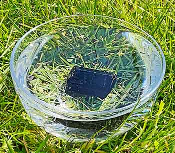 Black Tourmaline in a bowl in the sun making an Essence  Mother Tincture