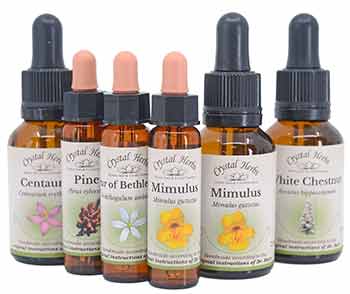 Bach Flower Remedy bottles - 10mls and 25mls