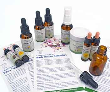 Bach Flower Remedies with leaflets