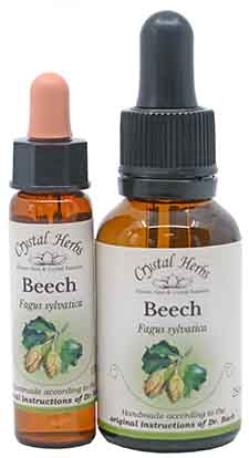 Beech Bach Flower Remedies 10ml and 25ml Beech Bach Flower Remedy bottles