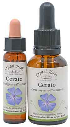 Cerato Bach Flower Remedy 10ml and 25ml bottles of Cerato Bach Remedy