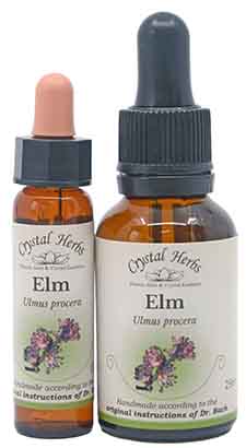 Elm Bach Flower Remedy - two bottles