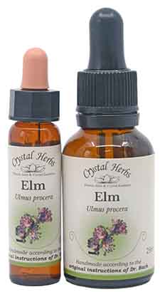 Elm Bach Flower Remedy for feeling overwhelmed Elm Bach Flower Remedy - two bottles