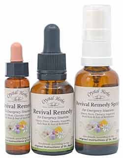 Revival Remedy Essences - 10ml, 25ml and 30ml bottles