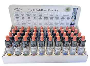 A BAch Flower Remedy display stand for shops